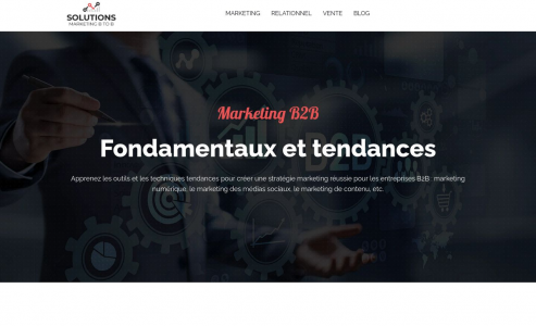 https://www.solutions-marketing-btob.fr